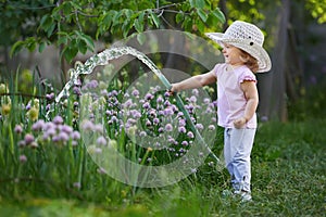 Pequeno feliz jardinero regando cebolla 