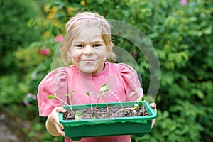 Little happy preschool girl planting seedlings of sunflowers in domestic garden. Toddler child learn gardening, planting