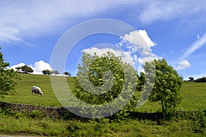 Little Hayfield in Derbyshire