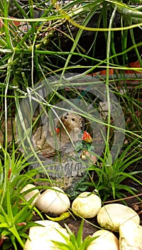 Little hedgehog among the leaves