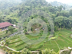 Little hill with farm area and green around, Cianjur, Indonesia - 2021