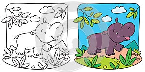 Little hippo coloring book