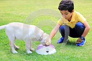 Little Hispanic boy feeds healthy kibble to his newly adopted puppy dog â€‹â€‹as the newest member of the family