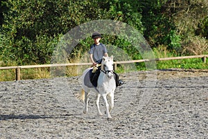 Poco un cavallo cavaliere 