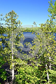 Little Horsehead Lake - Wisconsin photo