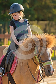 Little horserider