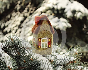 Little house on fir tree