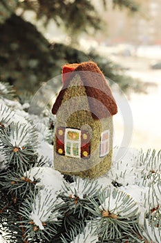 Little house on fir tree