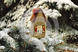 Little house on fir tree