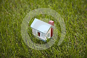 Little house on grass