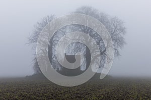 Little House in Misty Field Dordrecht