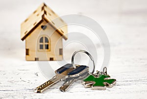 The little house next to it is the keys. Symbol of hiring a house for rent, selling a home, buying a home, a mortgage.