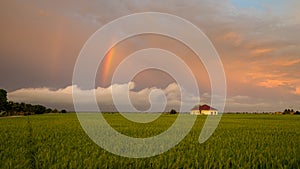 Little house in paddy fields