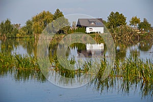 Little house reflection