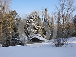 Little house in winter time