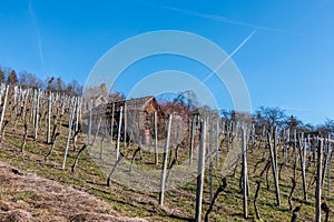 Little hovel in the middle of the wineyard