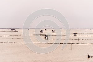 Little hut in the sea at Bang Taboon, Phetchaburi, Thailand