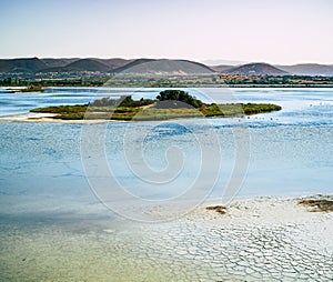Little island in a Brackish lagoon in southwest Sardinia