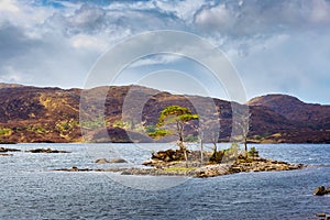 Little islands of Loch Assynt in the scottish highlands