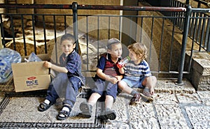 Little Jewish Boys, Jerusalem