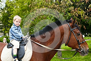 Little kid on big horse