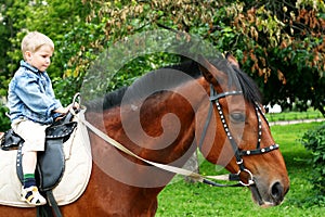 Little kid on big horse