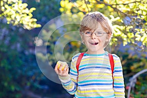 Little kid boy with apple on way to school