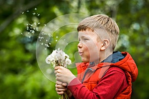 Little kid boy blowing on dandelion. Future generation. Windmills. Renewable energies and sustainable resources - wind