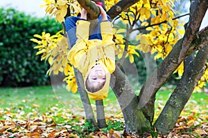 Little kid boy in colorful clothes enjoying climbing on tree on