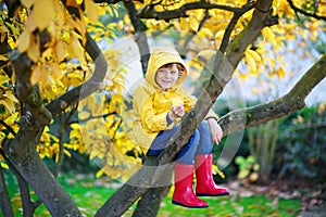 Little kid boy in colorful clothes enjoying climbing on tree on