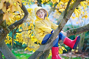 Little kid boy in colorful clothes enjoying climbing on tree on autumn day