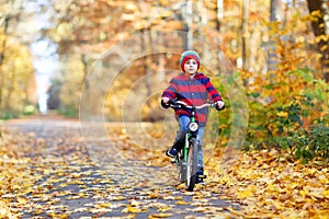 Little kid boy in colorful warm clothes in autumn forest park driving a bicycle. Active child cycling on sunny fall day