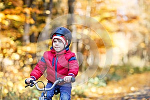 Little kid boy in colorful warm clothes in autumn forest park driving a bicycle. Active child cycling on sunny fall day