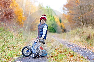 Little kid boy in colorful warm clothes in autumn forest park driving bicycle. Active child cycling on sunny fall day in