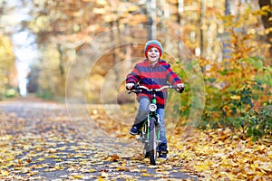 Little kid boy in colorful warm clothes in autumn forest park driving a bicycle. Active child cycling on sunny fall day