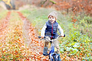 Little kid boy in colorful warm clothes in autumn forest park driving bicycle. Active child cycling on sunny fall day in