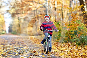 Little kid boy in colorful warm clothes in autumn forest park driving a bicycle. Active child cycling on sunny fall day