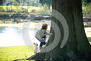 Little kid boy with dog climb a tree. Child playing with puppy in a park and climbing.