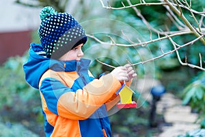 Little kid boy hanging bird house on tree for feeding in winter