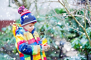 Little kid boy hanging bird house on tree for feeding in winter