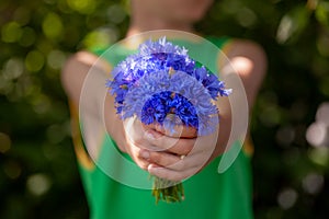 Little kid boy holding bouquet of fields blue cornflowers in summer day. Child giving flowers