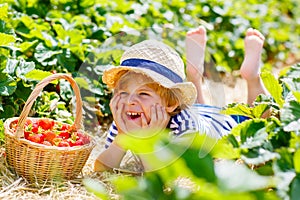 Little kid boy picking strawberries on farm, outdoors.