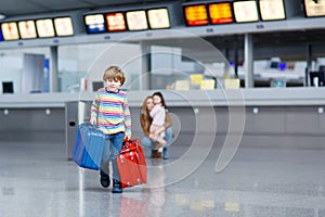 Little kid boy with suitcases on international airport