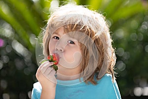 Little kid eating strawberry in nature. Child enjoys a delicious berry on green summer background. Close up kids happy