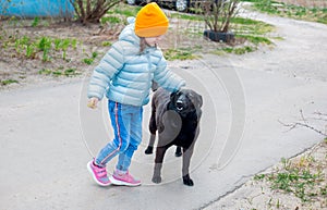 A little kid girl in a blue jacket and hat stroking the back of a black large stray dog in the yard