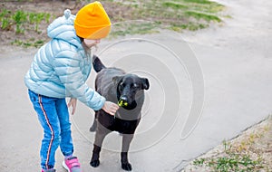 A little kid girl in a light blue jacket gave yellow flower to a black big dog in the yard to smell