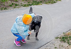 A little kid girl in a light blue jacket and hat stroking the back of a black large stray dog in the yard