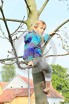 Little kid - girl sitting on tree