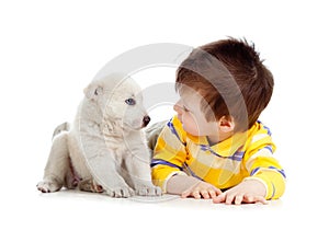 Little kid looking at puppy on white background