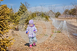 Little kid searching for easter eggs outdoors. Egg hunting: traditional family activity on Easter day